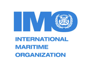 The International Maritime Organization